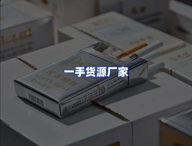 专业团队